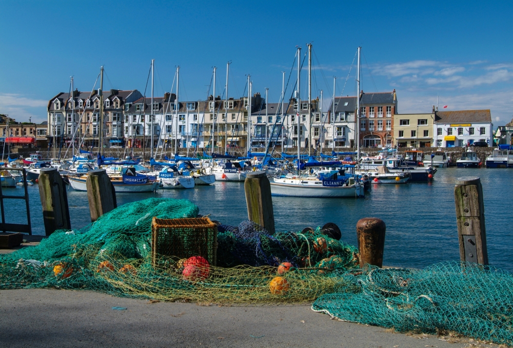 8 Top Things to Do In Ilfracombe