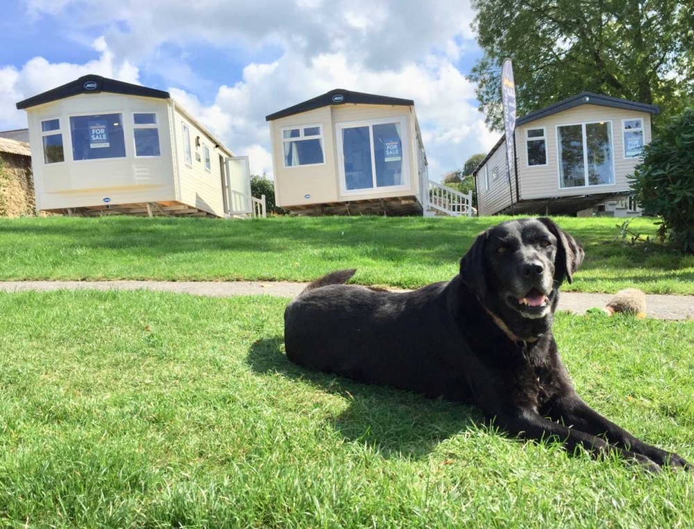 5 Steps to Buying a Holiday Caravan 