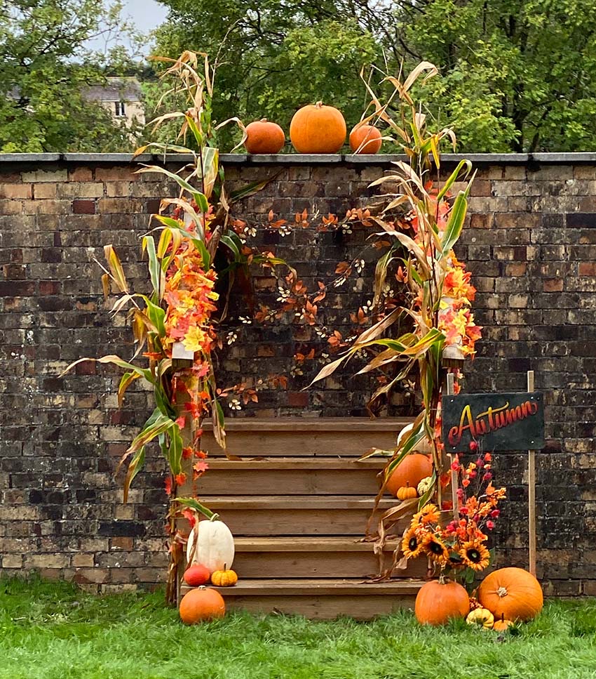 New for 2026! - Welcome to The Pumpkin Patch