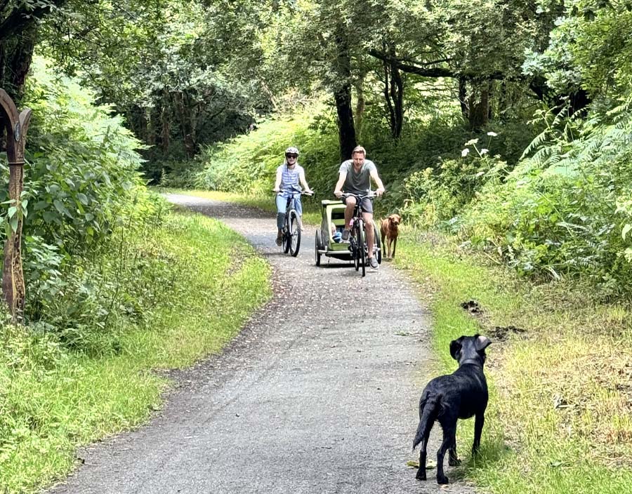 Camping by the Tarka Trail