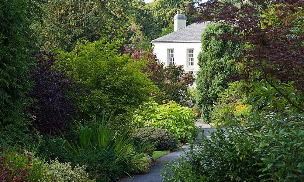 RHS Garden Rosemoor