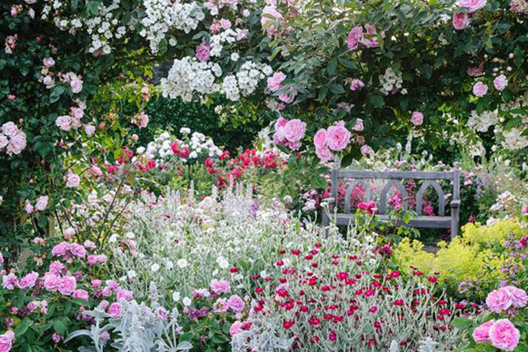 RHS Garden Rosemoor
