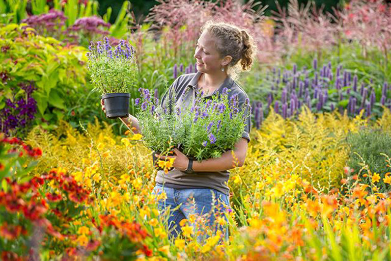 RHS Garden Rosemoor