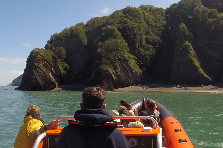 Ilfracombe Sea Safari