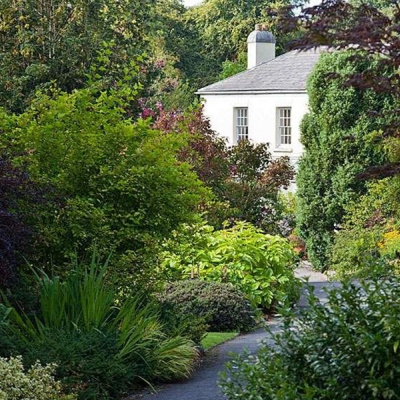 RHS Garden Rosemoor